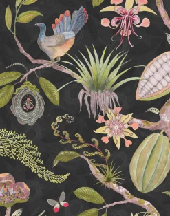 Theobroma, Leaf on Grey