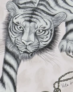 Tigris, Pink W0105-04