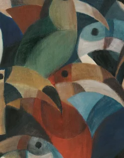 Toucan, Lava Lake WPLC0567