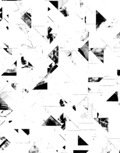 Trade Routes, Black & White