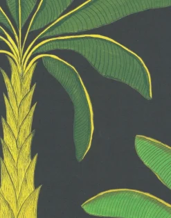 Tropical, Mallard Green