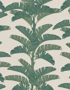 Tropical Plantation, Jungle