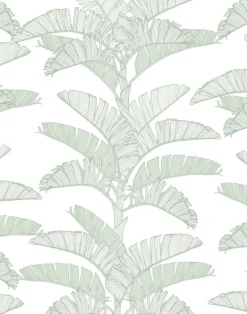 Tropical Plantation, Quiet