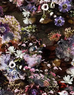 Underwater World, Unique