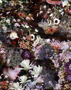 Underwater World, Unique