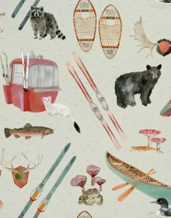 Upstate Camp, Adirondack