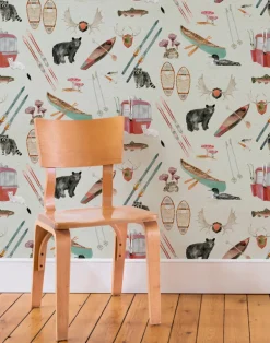 Upstate Camp, Adirondack