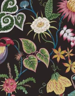 Vida, Obsidian-Black