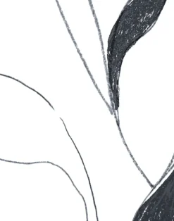 Vine, Charcoal