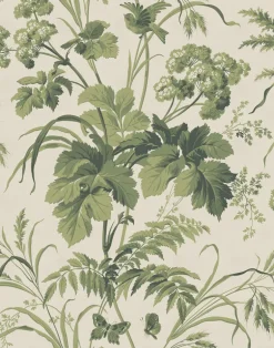 Where the Wild Flowers Grow, Sage