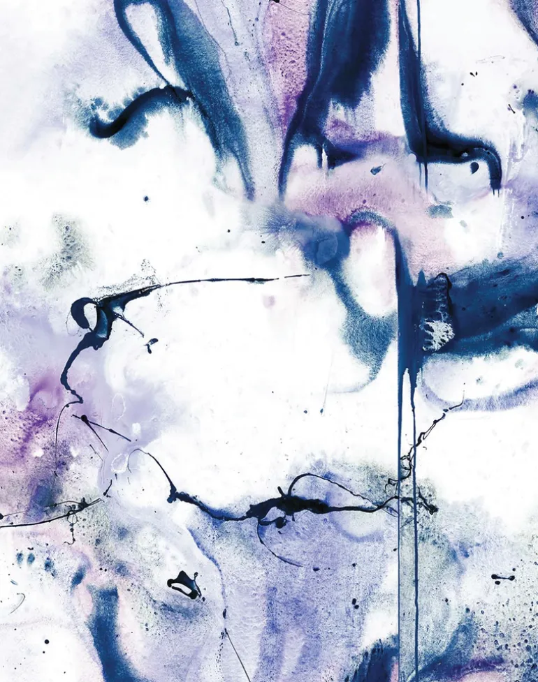 Whirling Dervish, Navy