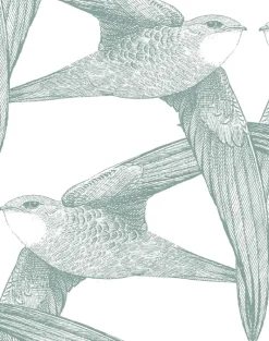 White Birds, Celadon