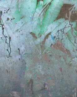 Wise Pond - A Frog Jumps PM164-01